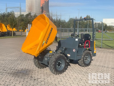2022 Bergmann C802E Electric Swivel Wozidło