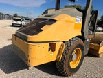 General Appearance with Paint