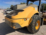 General Appearance with Paint
