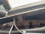 Moteur with Système d'échappement