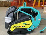 General Appearance with Paint