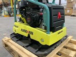 General Appearance with Paint