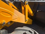 General Appearance with Paint