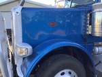 General Appearance with Paint