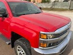 General Appearance with Paint