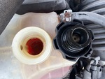 Engine with Radiator