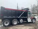 General Appearance with Paint