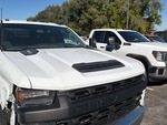 General Appearance with Paint