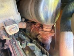 Engine with Exhaust System
