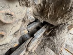 Undercarriage with 