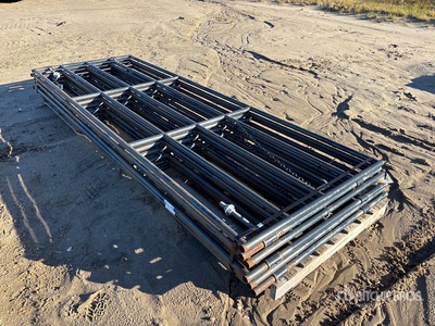 Quantity of (6) 12 ft x 4 ft Steel Brama dla bydła