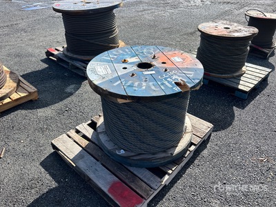 BIW Cable