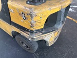 General Appearance with Paint