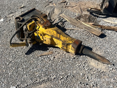 General Appearance with Image, coin avant droit