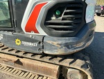 General Appearance with Paint