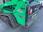 General Appearance with Paint