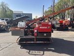 General Appearance with Paint