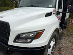 General Appearance with Paint