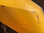 General Appearance with Paint