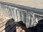General Appearance with Paint