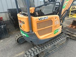 General Appearance with Paint