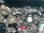 Motor with Oil Leaks
