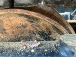 Undercarriage with Left Idler