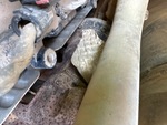 Engine with Exhaust System