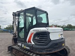 General Appearance with Paint