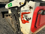 General Appearance with Paint