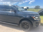 General Appearance with Paint