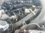 Engine with Oil Leaks