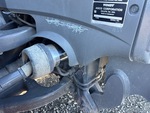General Appearance with Paint