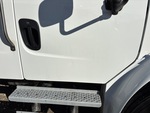 General Appearance with Paint