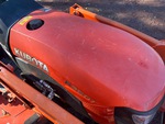 General Appearance with Paint