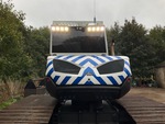 General Appearance with Paint