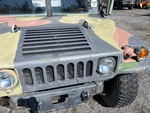 General Appearance with Paint