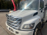 General Appearance with Paint