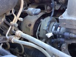 Engine with Exhaust System