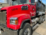 General Appearance with Paint