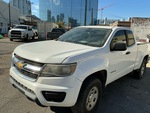 General Appearance with Paint