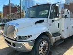 General Appearance with Paint