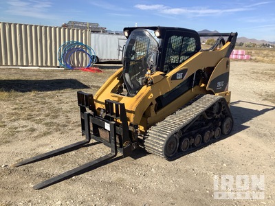 Cat 287C High Flow XPS を見 Compact Track Loader
