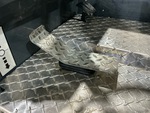 Telaio with Cilindro principale/controllo freni