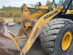 General Appearance with Paint