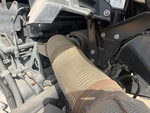 Engine with Exhaust System