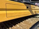General Appearance with Paint