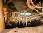 Hydraulics with