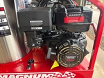Moteur with