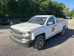 General Appearance with Paint